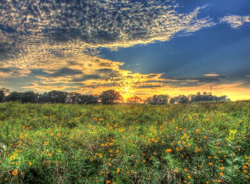 Sunset on the Prairie at Chain O Lakes State Park, Illinois image - Free  stock photo - Public Domain photo - CC0 Images