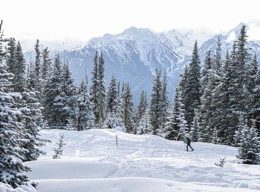 Recreate Responsibly This Fall and Winter Season at Olympic National Park - Olympic  National Park (U.S. National Park Service)