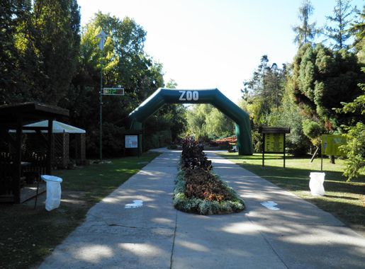 Датотека:Palićko jezero - ZOO - panoramio.jpg — Википедија