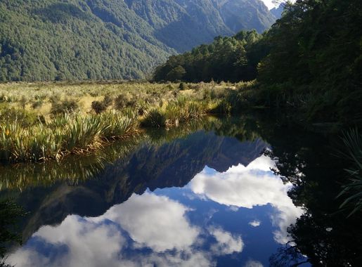 File:Mirror Lakes in Fiordland National Park NZ.jpg - Wikimedia Commons