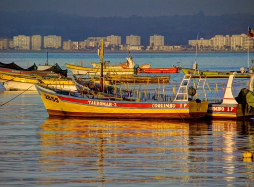 File:Botes pescadores Coquimbo.jpg - Wikimedia Commons