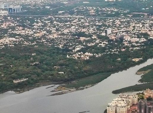 File:Adyar estuary.jpg - Wikimedia Commons
