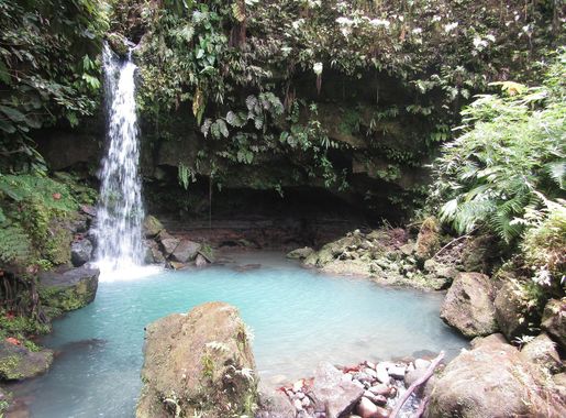 File:Emerald Pool, Dominica.jpg - Wikimedia Commons