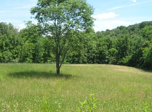 File:Burr Oak State Park.jpg - Wikimedia Commons
