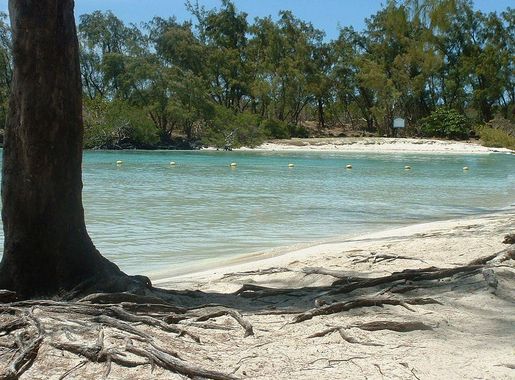 Fichier:L'île au cerfs.JPG — Wikipédia