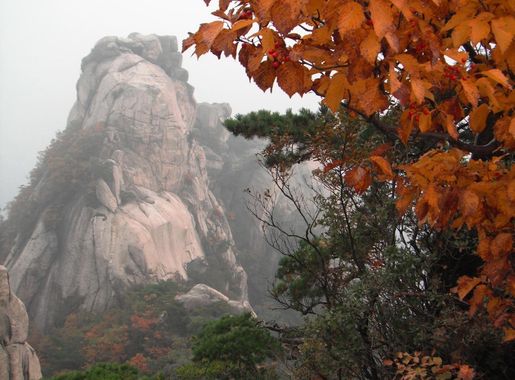 National Parks of Korea: Bukhansan > Osan Air Base > Article Display