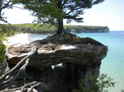 File:Lone White Pine on Chapel Rock  (eaafe500-51b3-4dd3-b67b-c667a3739618).JPG - Wikimedia Commons