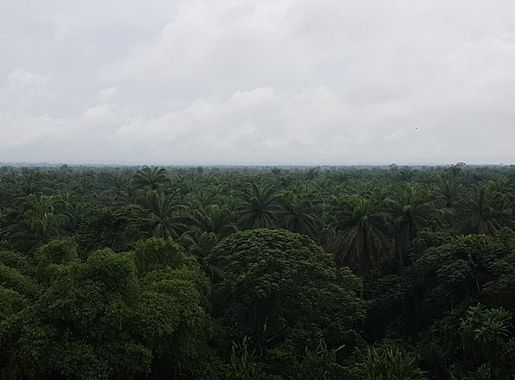 File:Meridien Akwa Ibom golf course.jpg - Wikimedia Commons