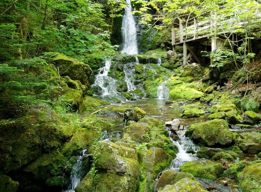 File:Fundy National Park of Canada 10.jpg - Wikimedia Commons