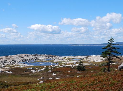 Coastline Landscape in Nova Scotia, Canada image - Free stock photo -  Public Domain photo - CC0 Images