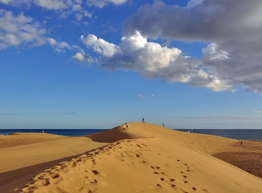 File:GC Dunas de Maspalomas R08.jpg - Wikimedia Commons