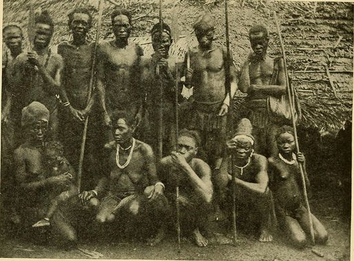 File:A voice from the Congo - comprising stories, anecdotes, and  descriptive notes (1910) (14596979668).jpg - Wikimedia Commons