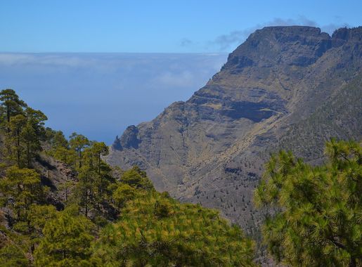 File:Parque Natural de Tamadaba 29.JPG - Wikimedia Commons
