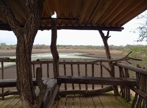 File:Hlane-Basic-Hide-At-Hippo-Pool.JPG - Wikipedia