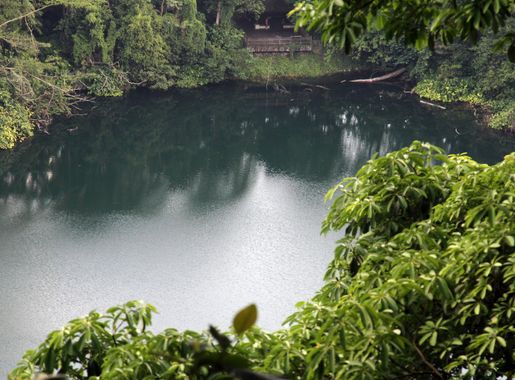 Bukit Timah Nature Reserve - Wikipedia