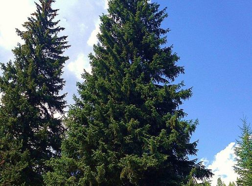 98 firefighters support three fire | Free Photo - rawpixel