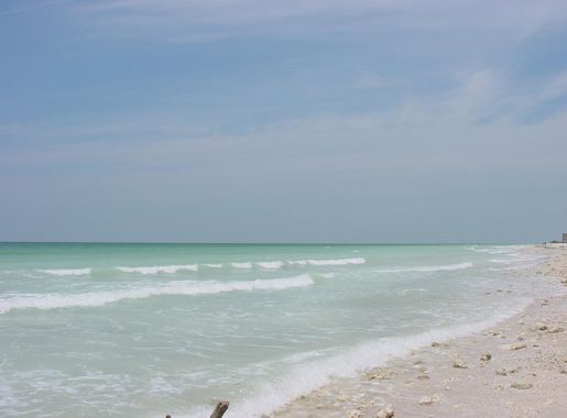 File:Honeymoon Island State Park (Image 1).jpg - Wikimedia Commons