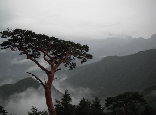 National Parks of Korea: Seoraksan > Osan Air Base > Stories