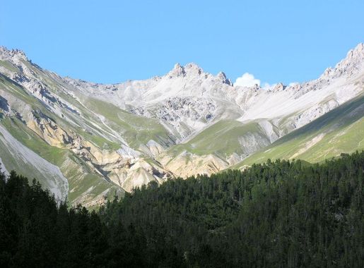 File:Swiss National Park 041.JPG - Wikimedia Commons