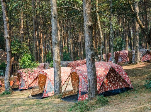 Free Images : tent, camping, forest, tree, woodland, north, tourism, famous  place, holiday, summer, mountain, thailand, national, wood, park, journey,  nature, tranquil scene, asia, relaxation, hiking, adventure, outdoor,  environment, outdoors ...