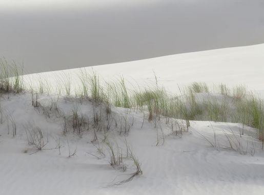 File:Dunas da praia da Joaquina - detalhe - Florianópolis SC Brasil.JPG -  Wikimedia Commons