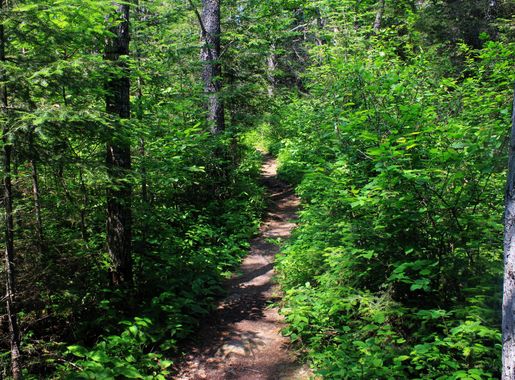 Hiking Trail to Eagle Mountain, Minnesota image - Free stock photo - Public  Domain photo - CC0 Images