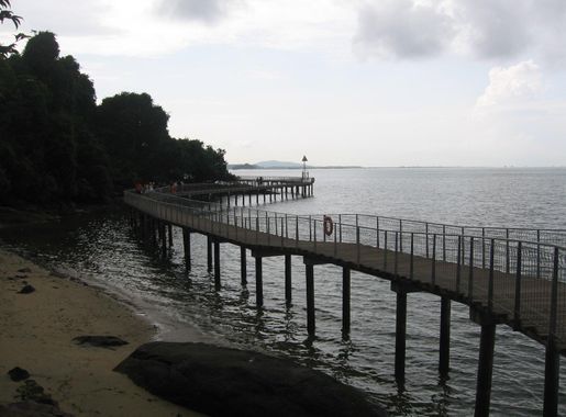 File:Chek Jawa 37, Aug 07.JPG - Wikimedia Commons