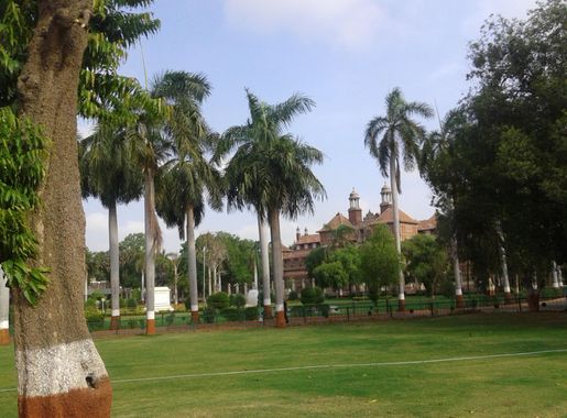 File:SAYAJI BAUG FLORA- FAUNA VADODARA 05.jpg - Wikimedia Commons