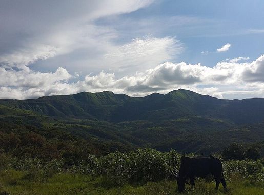File:The Mambilla Plateau, Nigeria 01.jpg - Wikimedia Commons