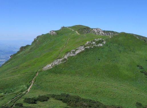 File:Chleb.jpg - Wikimedia Commons