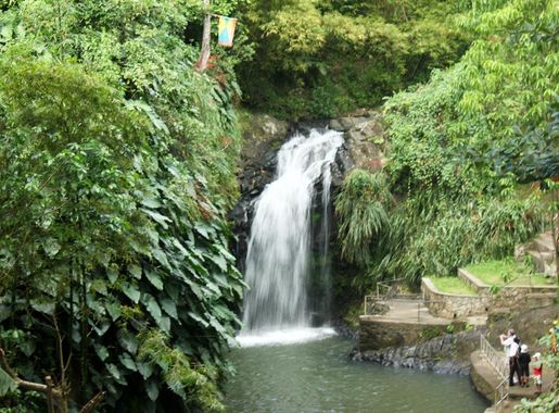 File:Annandale Waterfalls.jpg - Wikipedia