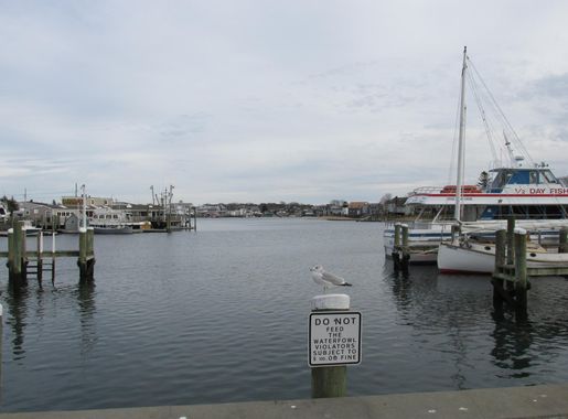 File:Hyannis Inner Harbor, Hyannis MA.jpg - Wikimedia Commons