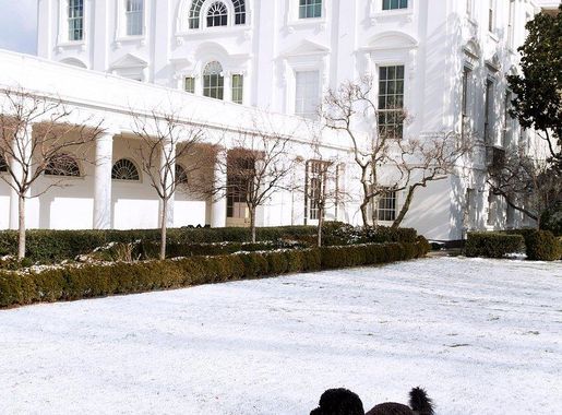 Architecture And Buildings Images | Free Photos, PNG Stickers, Wallpapers &  Backgrounds - rawpixel