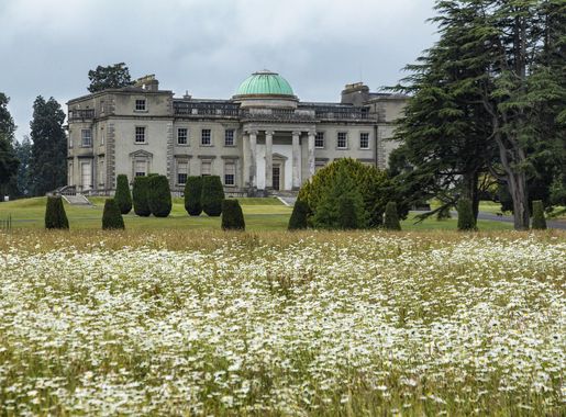 File:Emo - Emo Court - 20200618123621.jpg - Wikimedia Commons