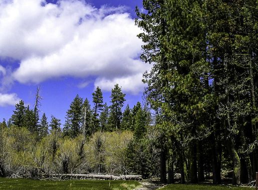 Manzanita Lake landscape in Lassen Volcanic National Park, California image  - Free stock photo - Public Domain photo - CC0 Images