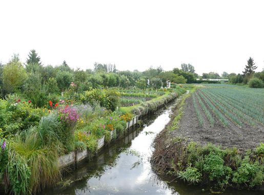 Fichier:Hortillonnages d'Amiens.JPG — Wikipédia