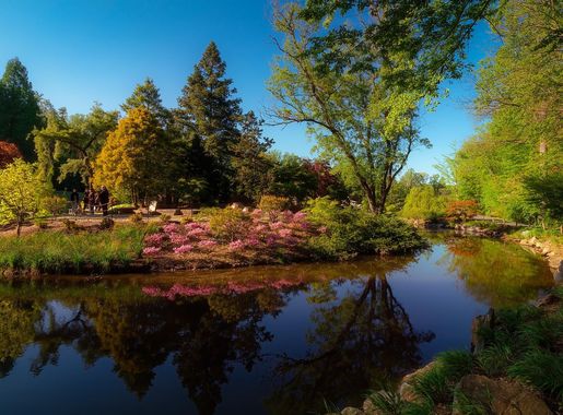 File:Brookside Gardens (49881511552).jpg - Wikipedia