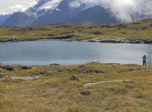 File:Lac Noir, La Grave, Frankrijk (2450 m.) 01.JPG - Wikimedia Commons