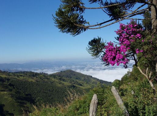 File:Estrada da Serra da Bocaina, Silveiras-SP.JPG - Wikimedia Commons
