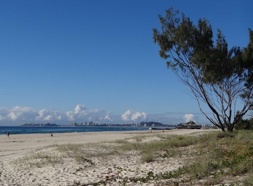 File:Gold Coast Scenery - Near Burleigh Heads - Queensland - Australia  (35873514176).jpg - Wikimedia Commons