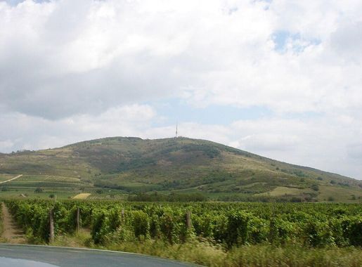 File:Tokaj, Hungary 03944.JPG - Wikimedia Commons