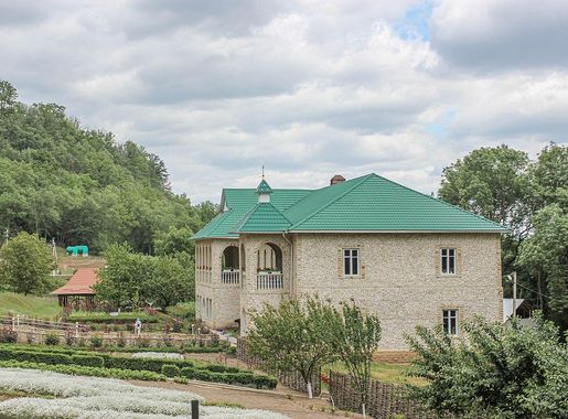 File:Rudi 2020.jpg - Wikimedia Commons