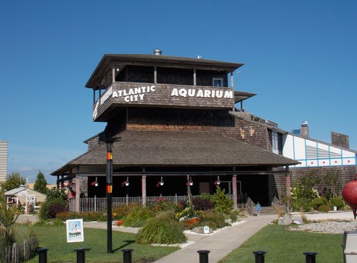 File:Atlantic City Aquarium.JPG - Wikimedia Commons