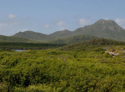 File:MT. CHRISTOFFEL IN CHRISTOFFEL PARK.jpg - Wikipedia