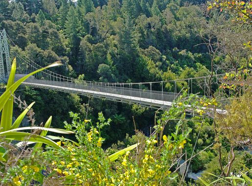 File:Arapuni Suspension Bridge.jpg - Wikimedia Commons