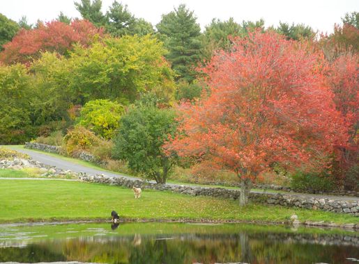 Autumn returns to New England > Hanscom Air Force Base > Article Display