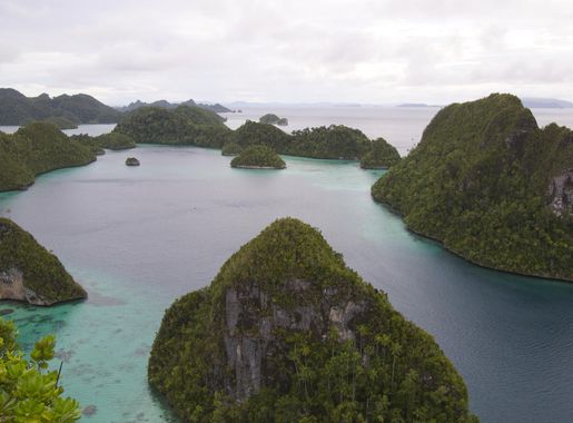 File:Wayag Island, Raja Ampat (14467281965).jpg - Wikipedia
