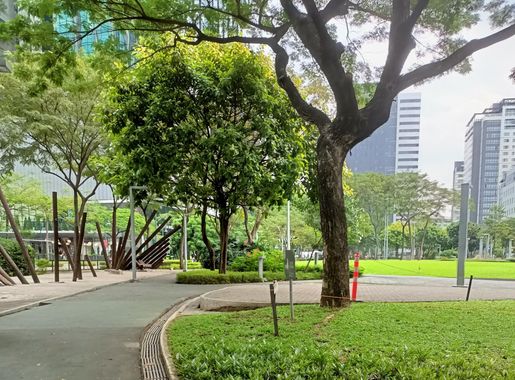 File:Track 30th BGC 2.jpg - Wikimedia Commons