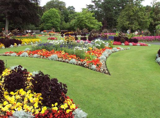 File:Flower garden, Botanic Gardens, Churchtown 2.JPG - Wikimedia Commons