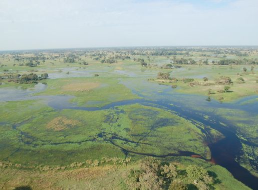 File:Okavango Delta, Botswana (2674364913).jpg - Wikimedia Commons
